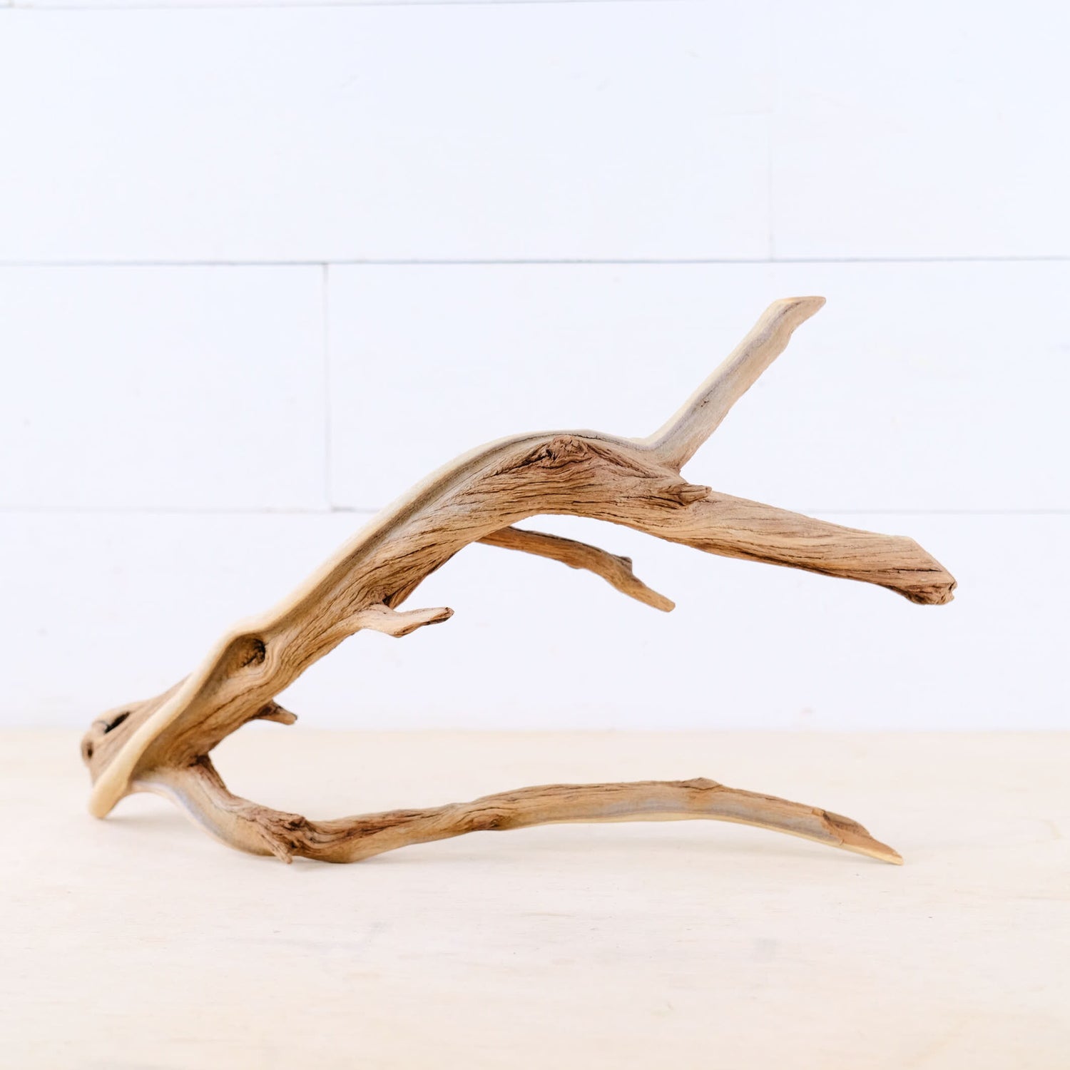 Manzanita 16" Branch, Large Aquascape Driftwood, Aquarium Wood Centerpiece, Natural Fish Tank Decor, Reptile Vivarium Branch