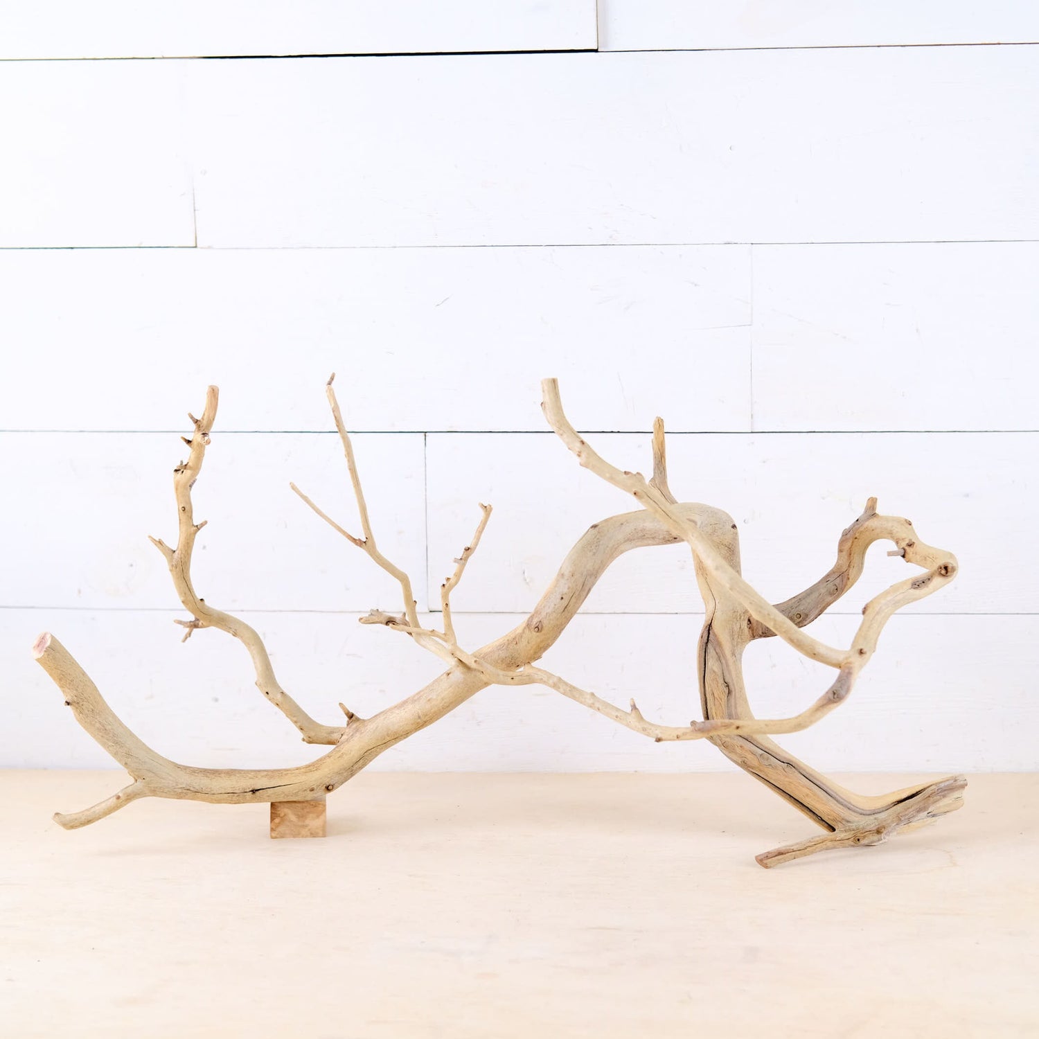 Manzanita 25" Branch, Aquascape Driftwood, Aquarium Wood Centerpiece, Natural Fish Tank Decor, Natural Decor Branch