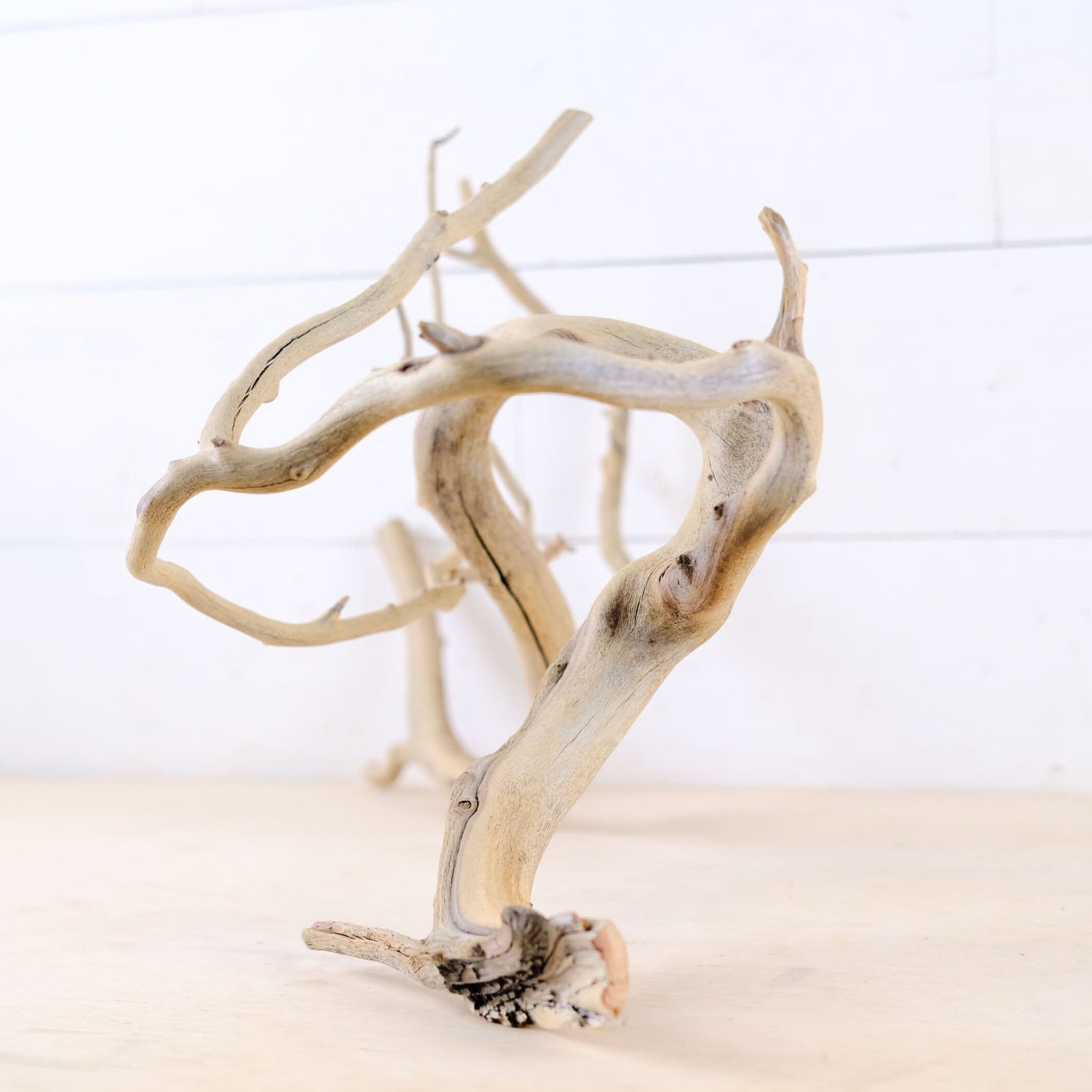 Manzanita 25" Branch, Aquascape Driftwood, Aquarium Wood Centerpiece, Natural Fish Tank Decor, Natural Decor Branch