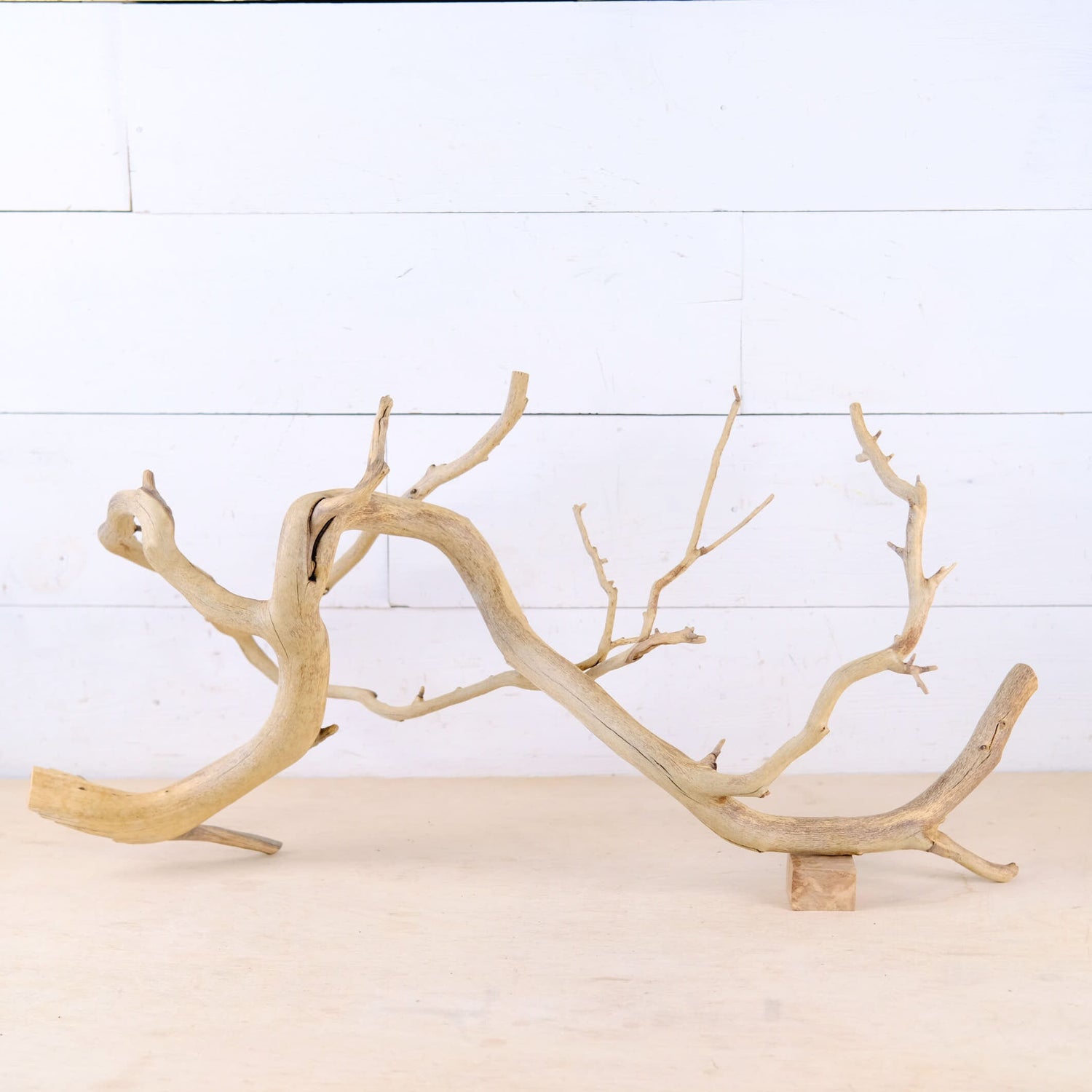 Manzanita 25" Branch, Aquascape Driftwood, Aquarium Wood Centerpiece, Natural Fish Tank Decor, Natural Decor Branch