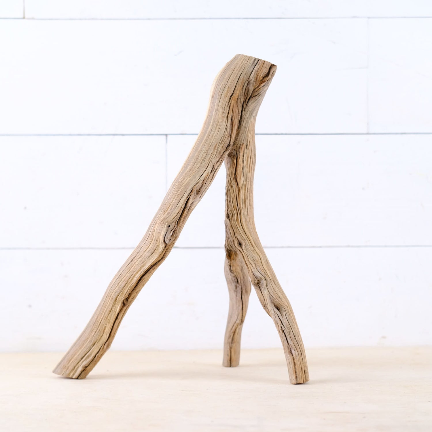 Manzanita 13" Branch, Aquascape Driftwood, Aquarium Wood Centerpiece, Natural Fish Tank Decor, Small Aquarium Wood, Betta Branch