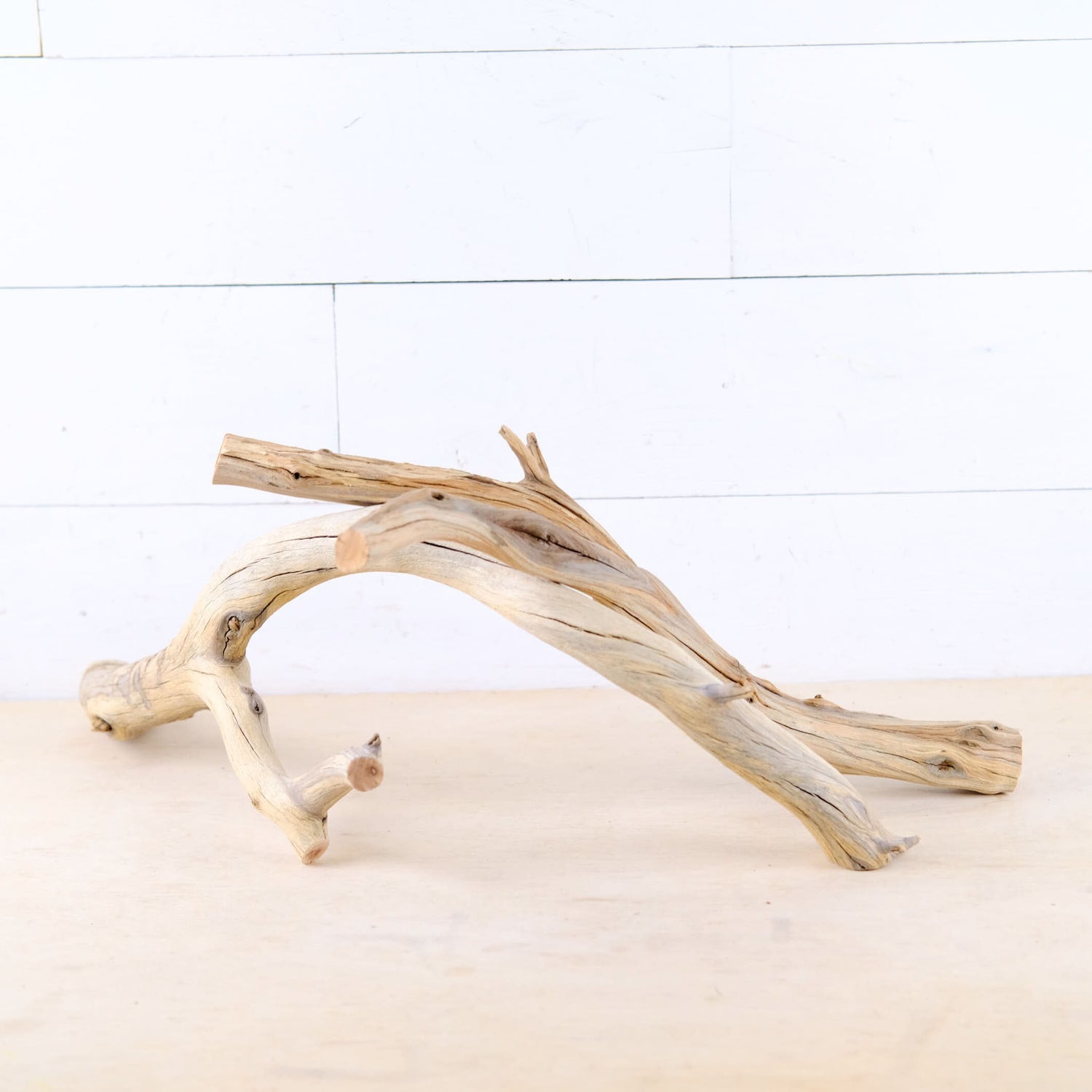 Manzanita 18-22" Branches (Set of 2), Reptile Vivarium Driftwood, Natural Terrarium Wood, Aquarium Decor, Fish Tank Branch, Boa Driftwood