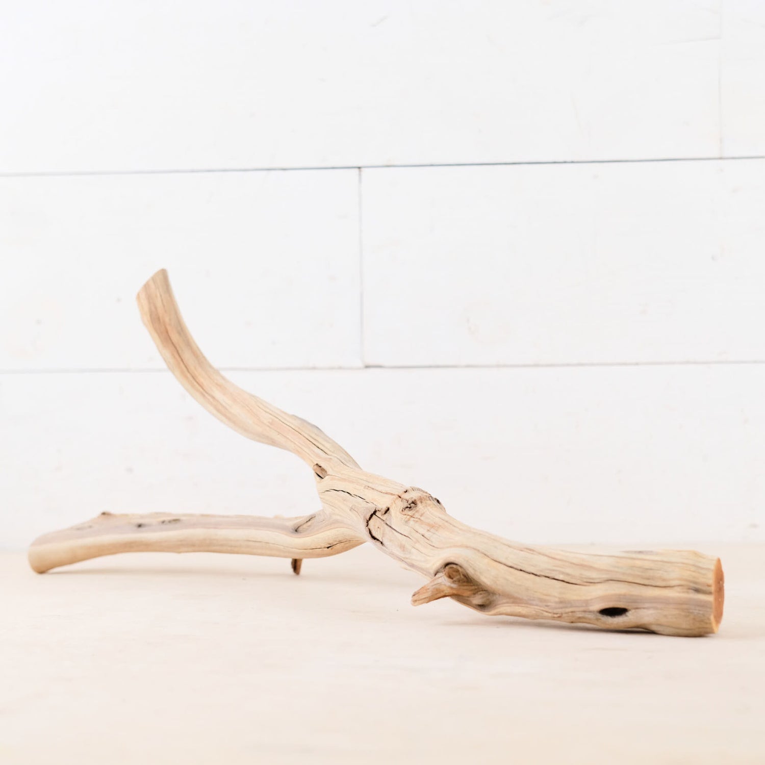 Manzanita 18-22" Branches (Set of 2), Reptile Vivarium Driftwood, Natural Terrarium Wood, Aquarium Decor, Fish Tank Branch, Boa Driftwood