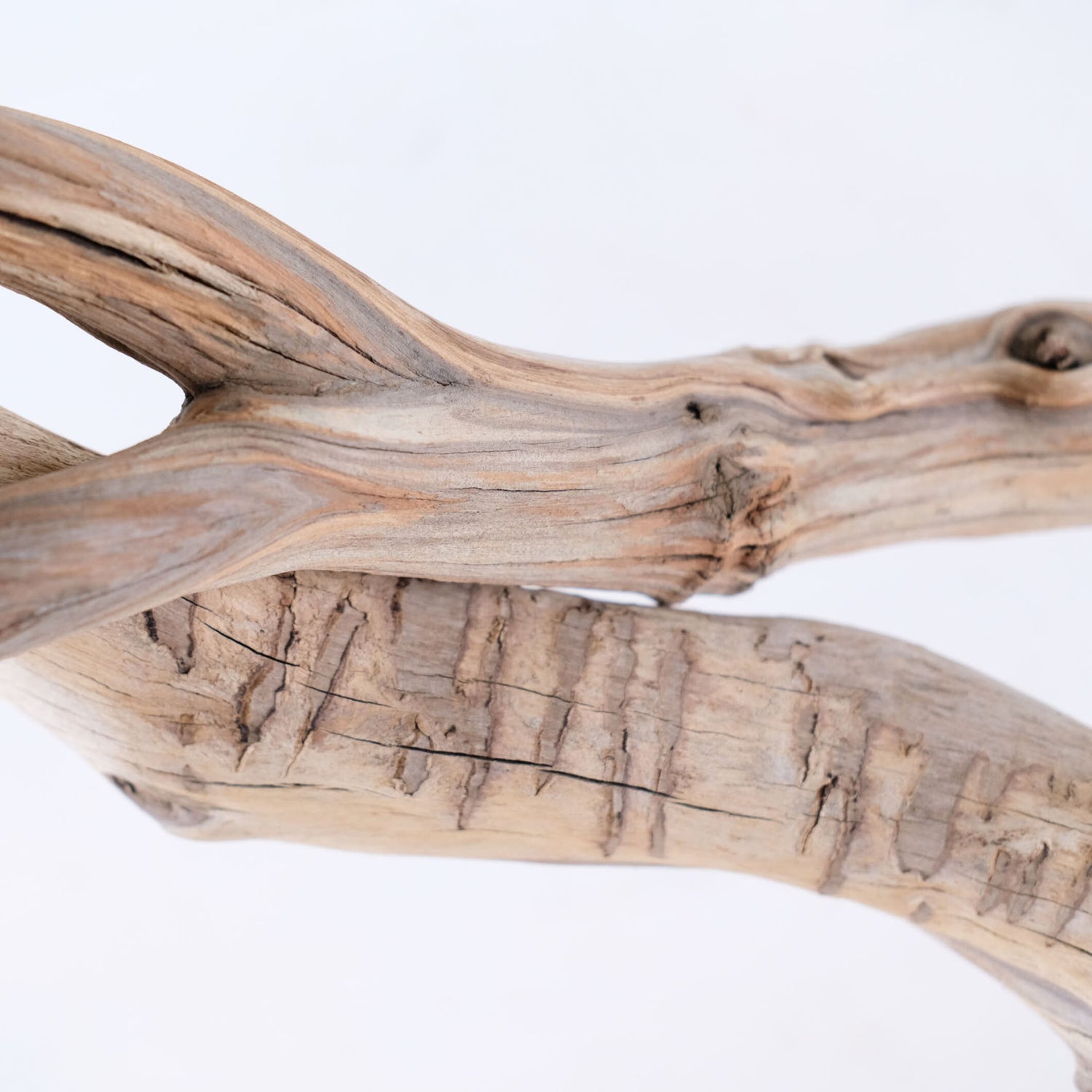 Manzanita 18-22" Branches (Set of 2), Reptile Vivarium Driftwood, Natural Terrarium Wood, Aquarium Decor, Fish Tank Branch, Boa Driftwood
