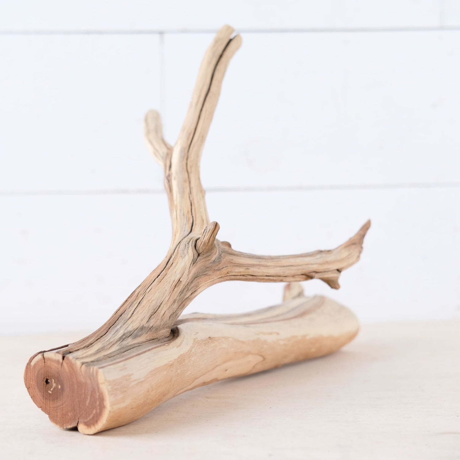 Manzanita 11" Branch, Aquascape Driftwood, Small Aquarium Wood, Natural Fish Tank Decor