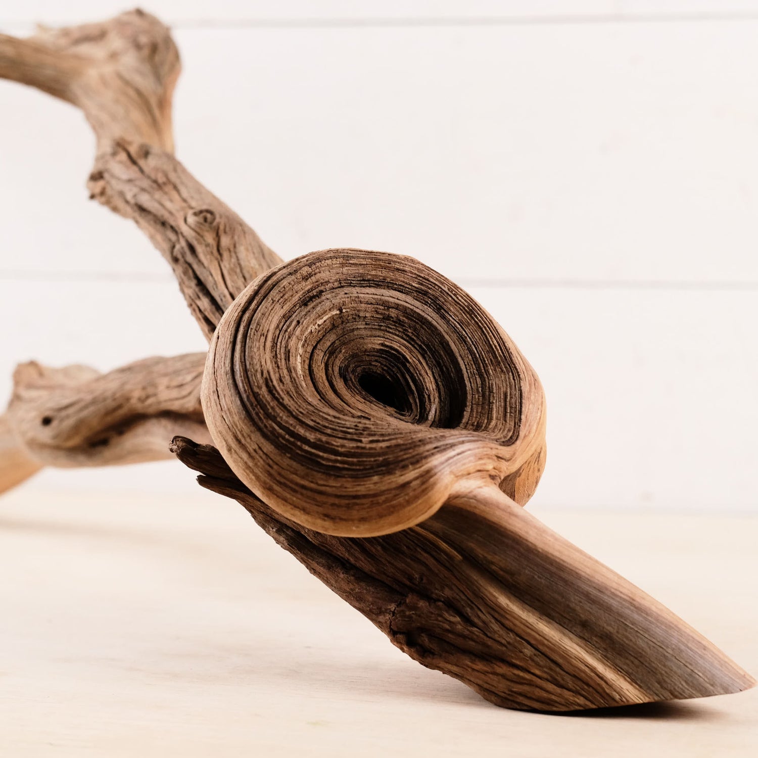 Manzanita 26" Driftwood, Shelf Decor Branch, Aquarium Aquascape Centerpiece, Natural Fish Tank Decor, Reptile Tank Wood, Terrarium Climb