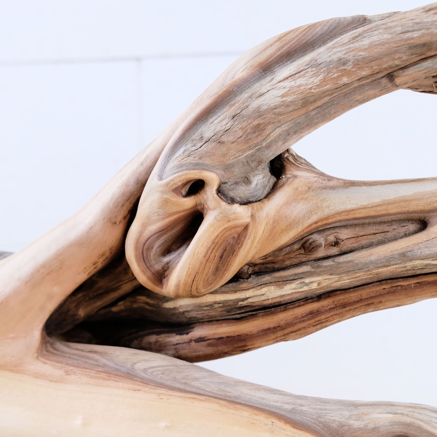 Manzanita 16" Driftwood, Aquarium Branch, Aquascape Decor, Vivarium Perch, Natural Fish Tank Decor, Reptile Terrarium Wood