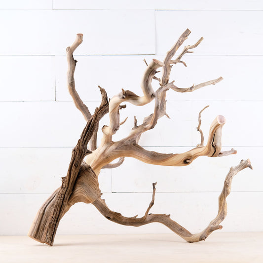 23" Manzanita Branch, Large Aquarium Wood, Aquascape Driftwood Centerpiece, Driftwood Wall Decor