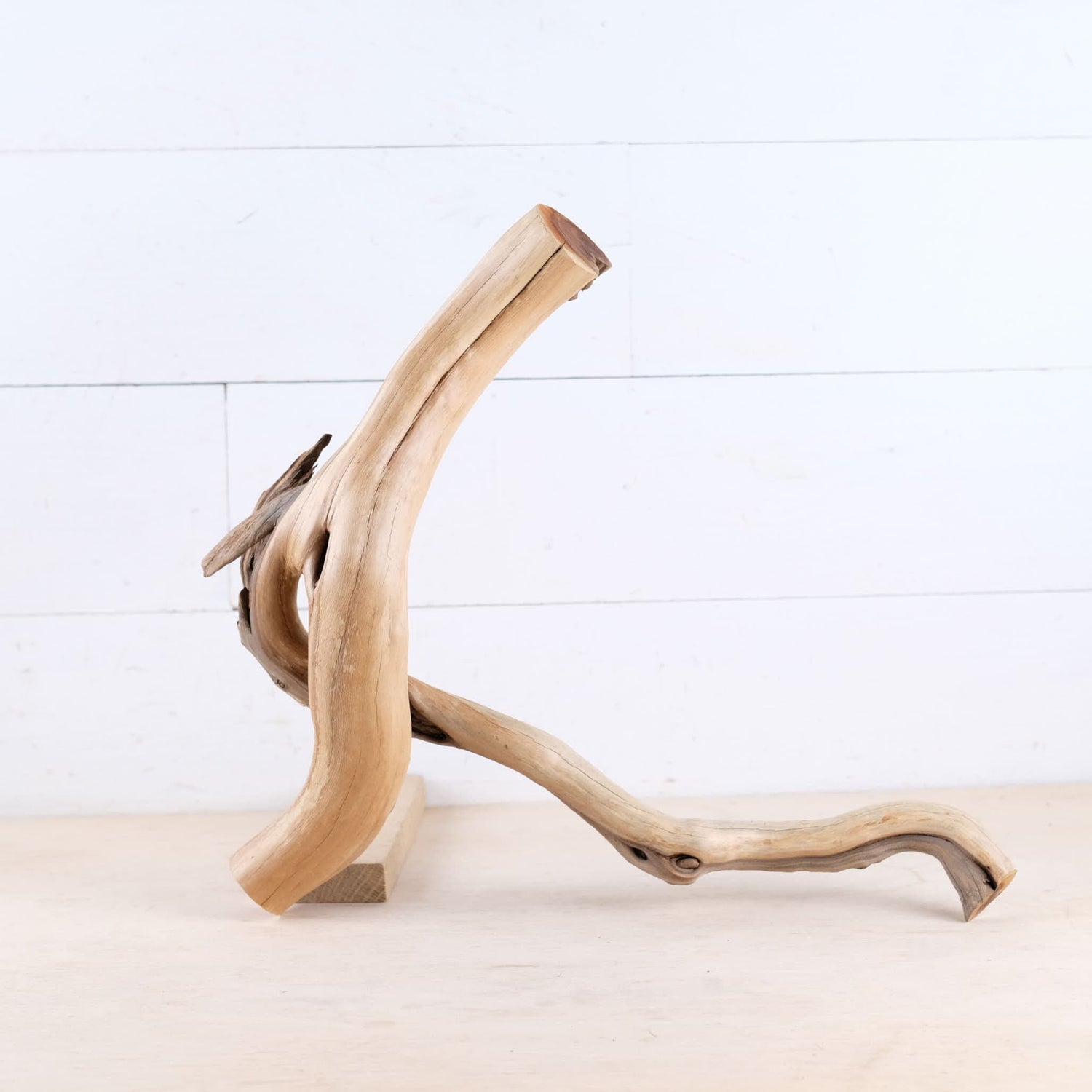 Manzanita 16" Driftwood, Aquarium Driftwood, Small Aquascape Decor, Natural Fish Tank Decor, Nanoscape Wood