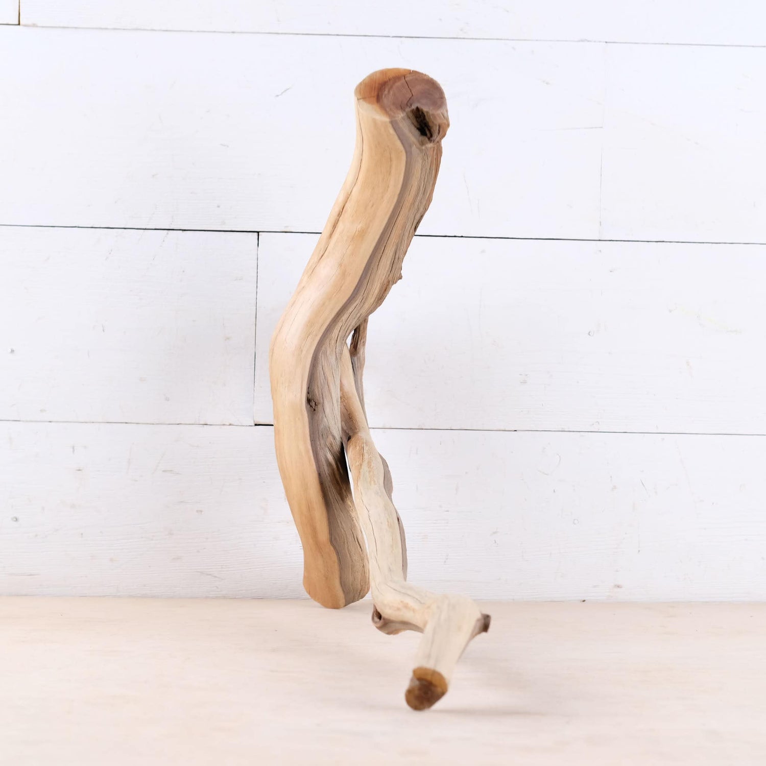 Manzanita 16" Driftwood, Aquarium Driftwood, Small Aquascape Decor, Natural Fish Tank Decor, Nanoscape Wood