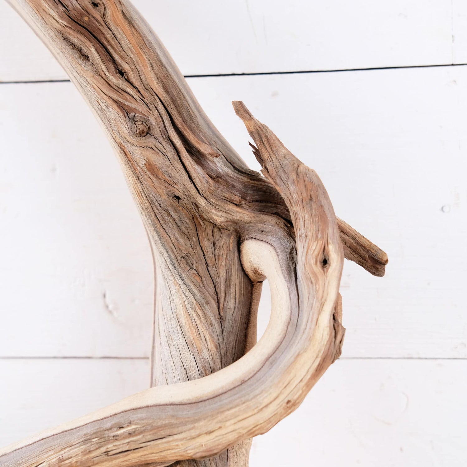 Manzanita 16" Driftwood, Aquarium Driftwood, Small Aquascape Decor, Natural Fish Tank Decor, Nanoscape Wood