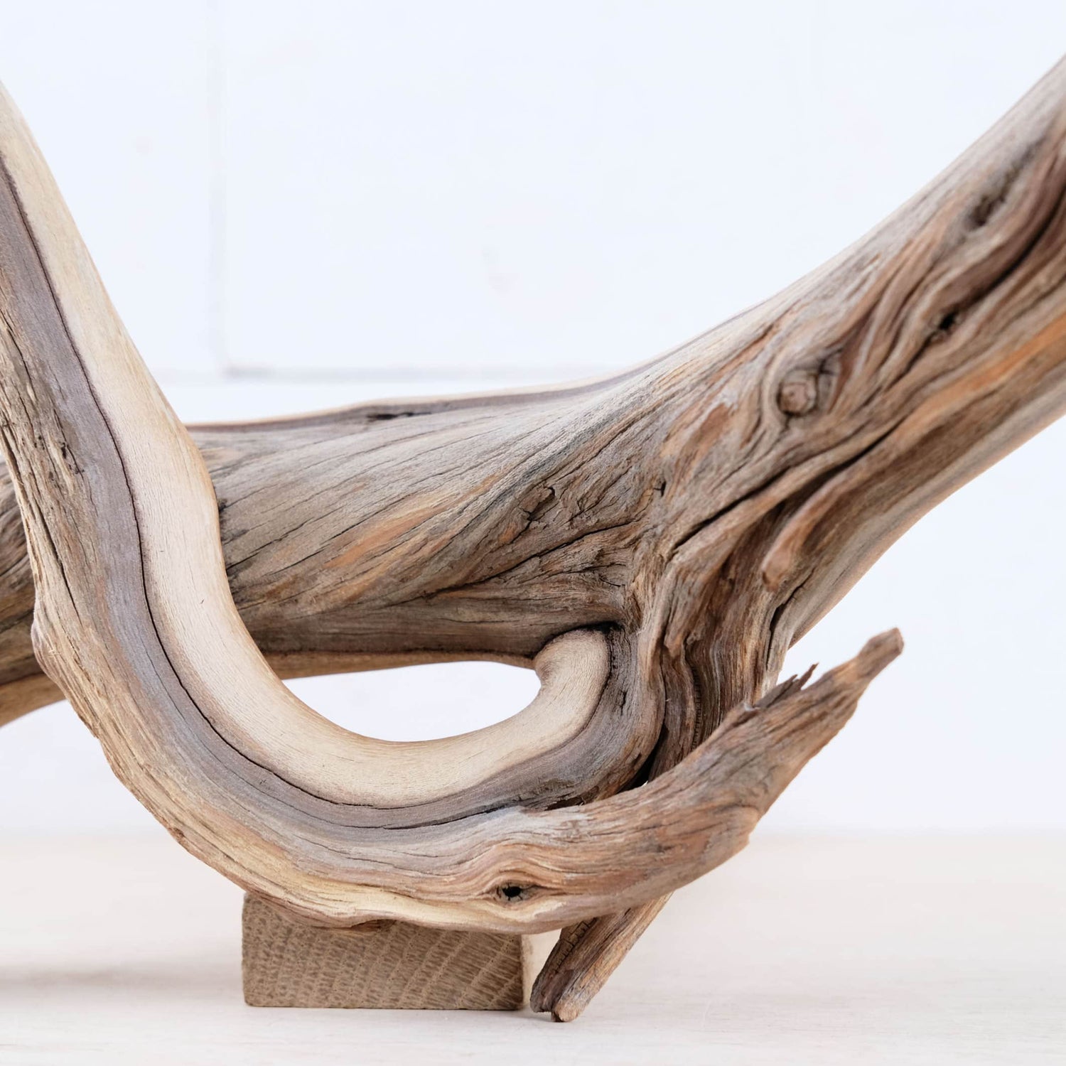 Manzanita 16" Driftwood, Aquarium Driftwood, Small Aquascape Decor, Natural Fish Tank Decor, Nanoscape Wood