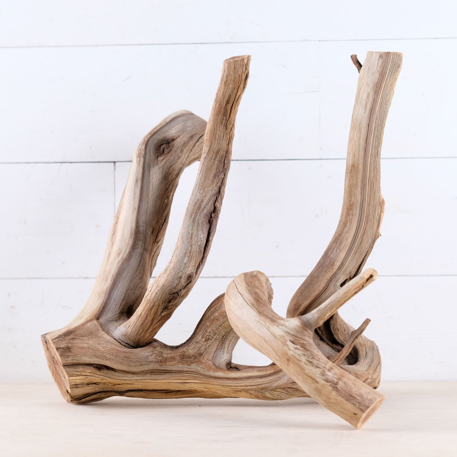 Manzanita 16" Branch, Natural Aquarium Driftwood, Aquascape Wood, Fish Tank Decor, Terrarium Enrichment