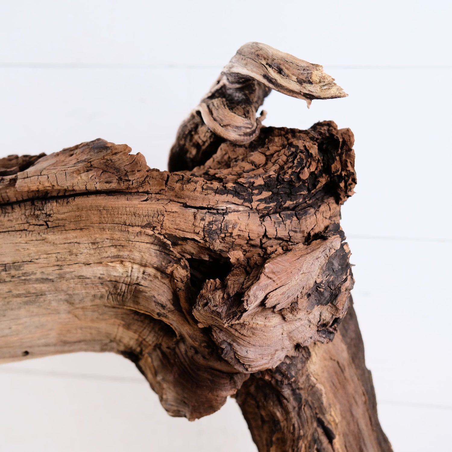 Manzanita 31" Driftwood Branch, Aquarium Aquascape Centerpiece, Large Terrarium Wood Climb, Driftwood Decor Trunk