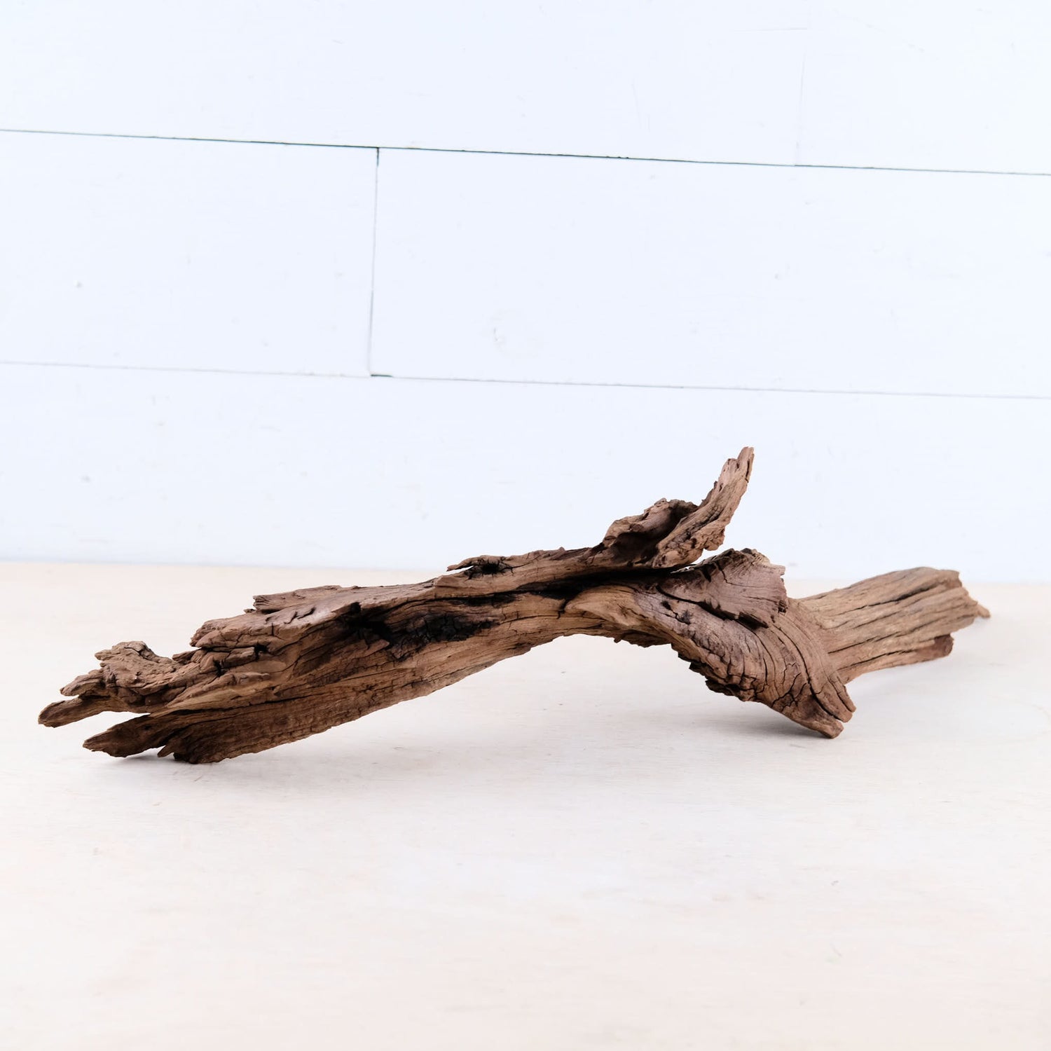 Manzanita 24" Driftwood Root, Rugged Aquarium Wood, Natural Fish Tank Decor, Shrimp Tank Enrichment, Reptile Perch