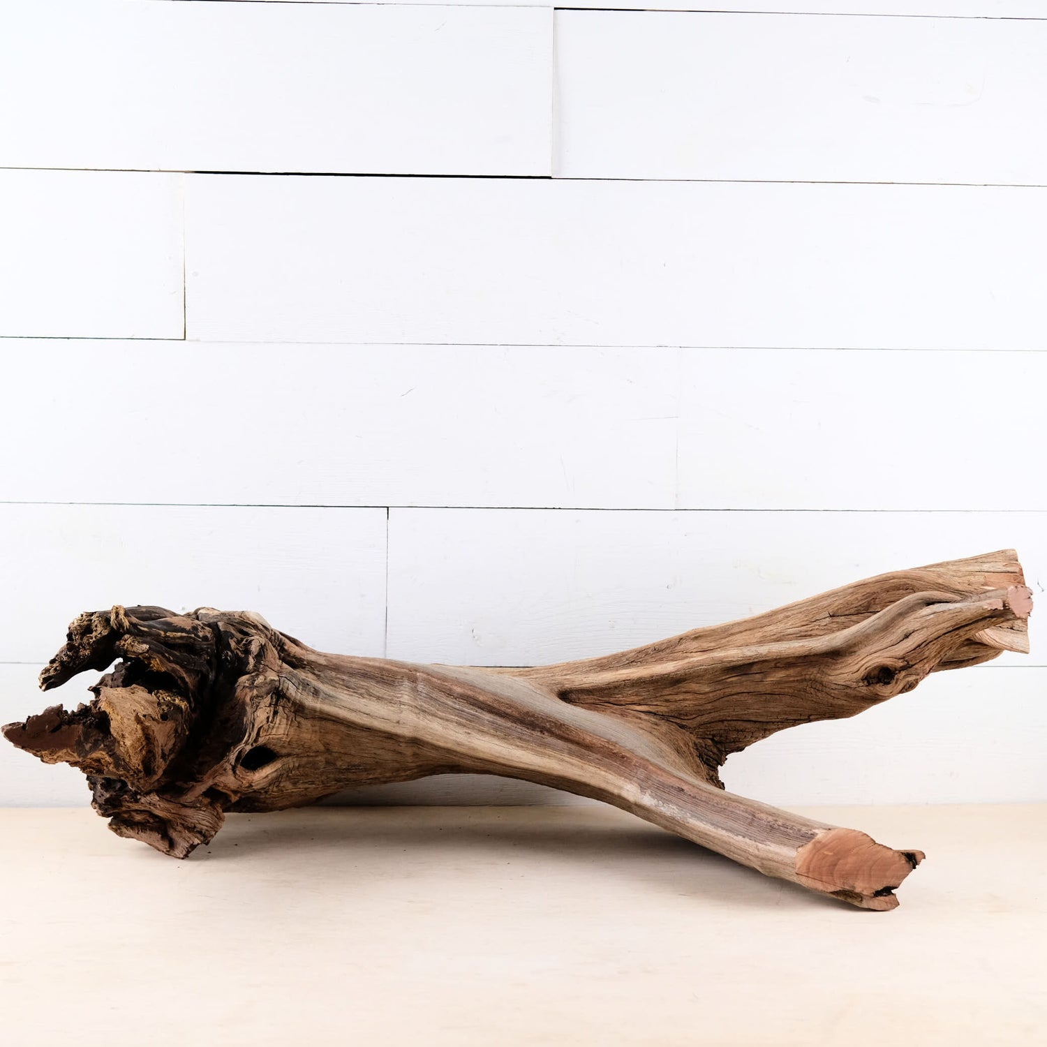 Manzanita 24" Driftwood Root, Rugged Aquarium Wood, Natural Fish Tank Decor, Shrimp Tank Enrichment, Reptile Perch