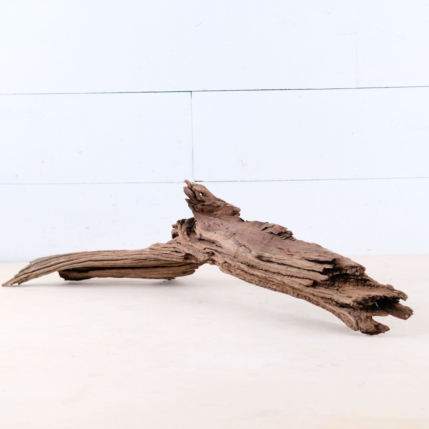 Manzanita 24" Driftwood Root, Rugged Aquarium Wood, Natural Fish Tank Decor, Shrimp Tank Enrichment, Reptile Perch