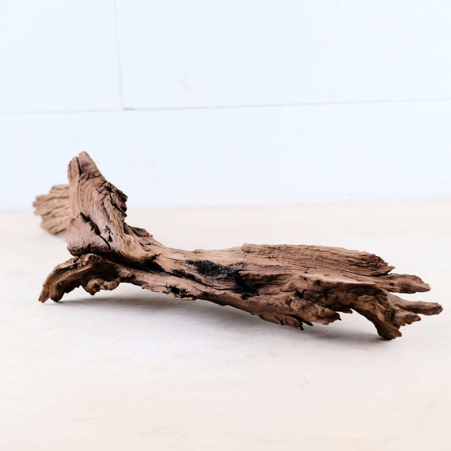 Manzanita 24" Driftwood Root, Rugged Aquarium Wood, Natural Fish Tank Decor, Shrimp Tank Enrichment, Reptile Perch