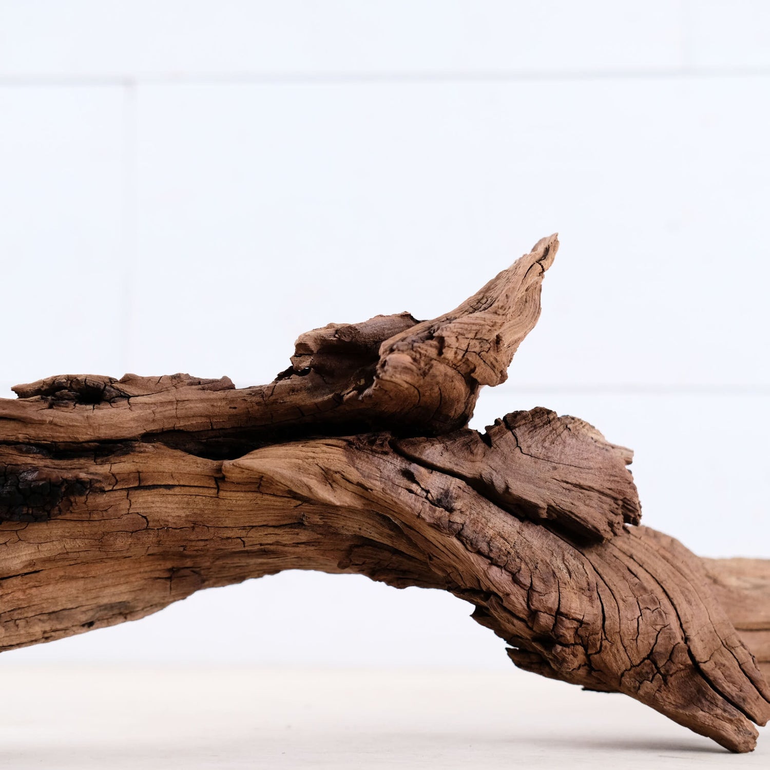 Manzanita 24" Driftwood Root, Rugged Aquarium Wood, Natural Fish Tank Decor, Shrimp Tank Enrichment, Reptile Perch