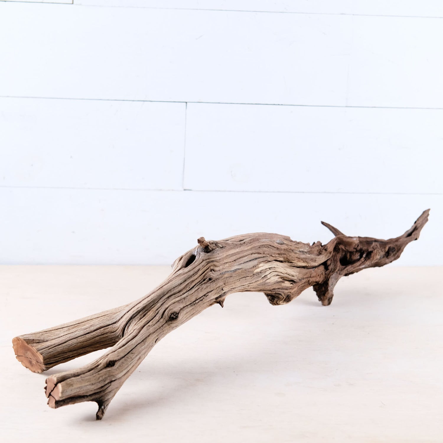 Manzanita 29" Driftwood Root, Rugged Aquarium Wood, Natural Fish Tank Decor, Shrimp Tank Enrichment, Reptile Perch