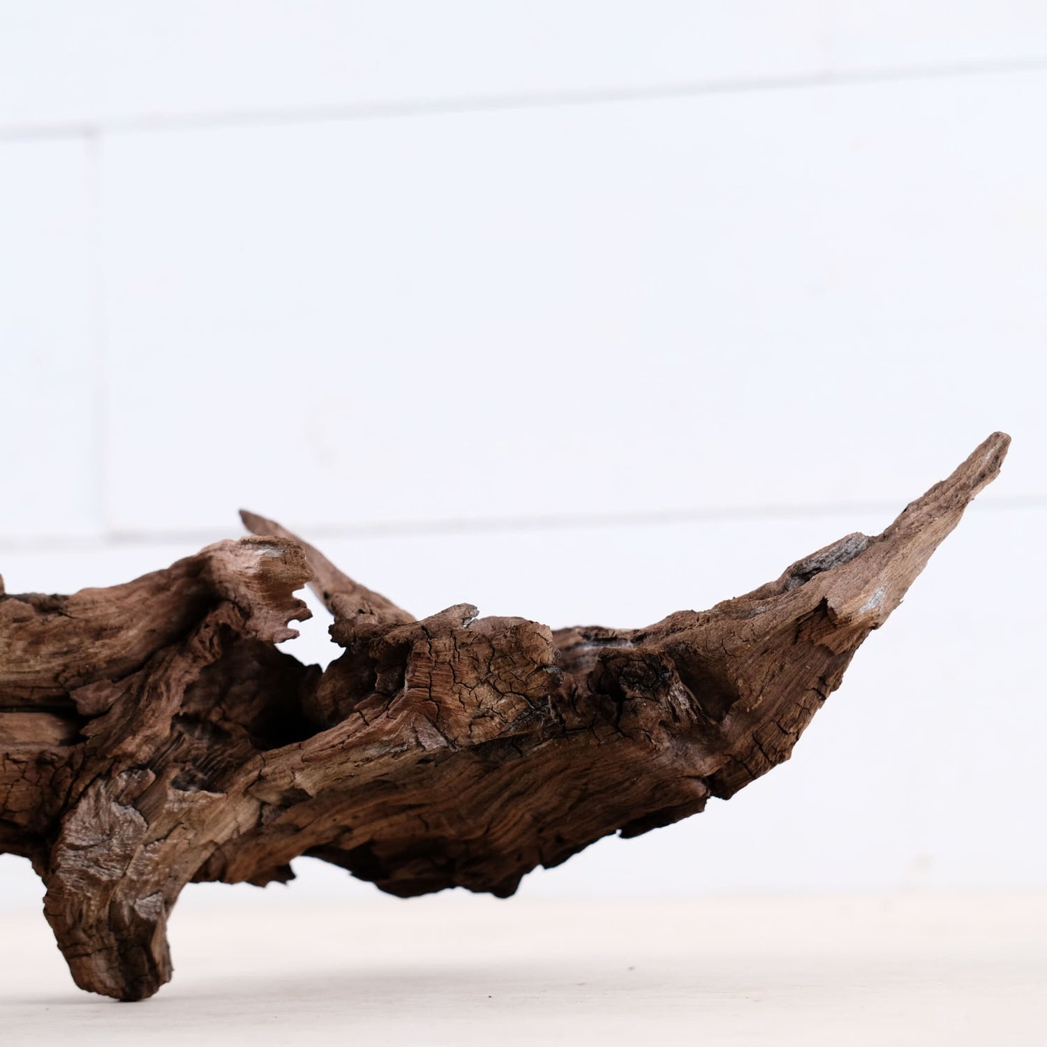 Manzanita 29" Driftwood Root, Rugged Aquarium Wood, Natural Fish Tank Decor, Shrimp Tank Enrichment, Reptile Perch