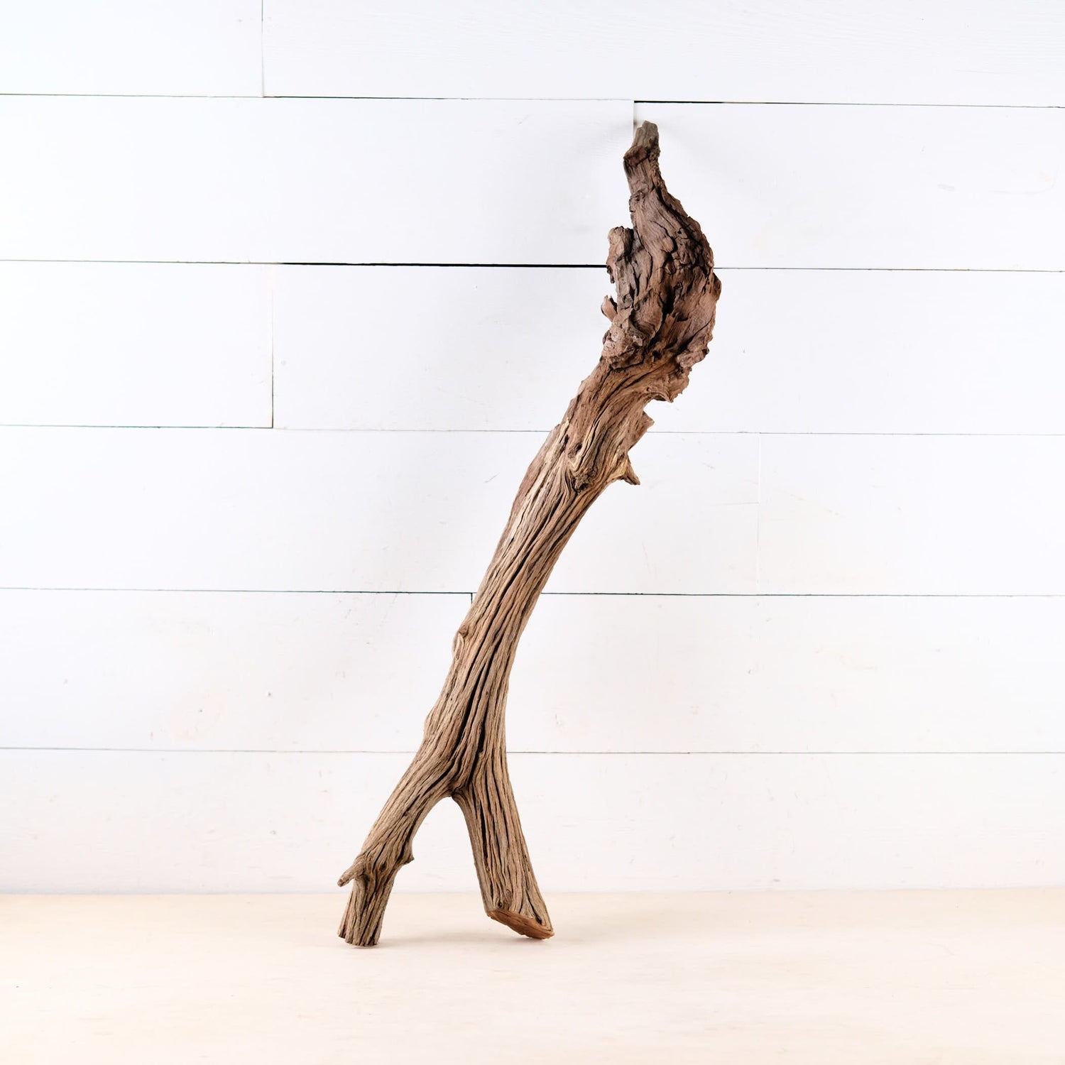 Manzanita 29" Driftwood Root, Rugged Aquarium Wood, Natural Fish Tank Decor, Shrimp Tank Enrichment, Reptile Perch