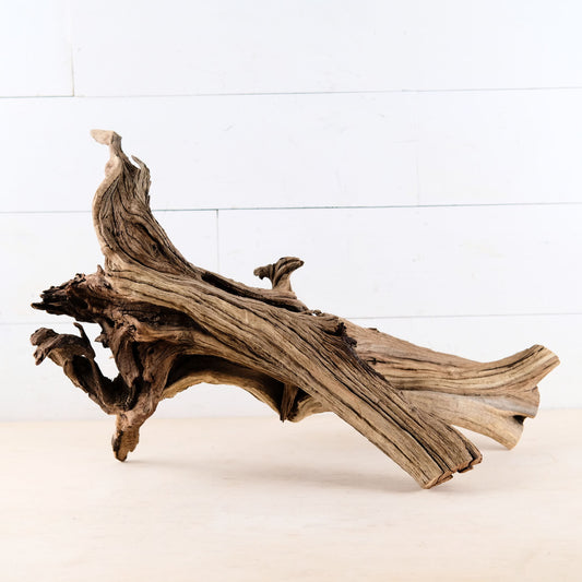 Manzanita 22" Driftwood Branch, Aquarium Aqquascape Trunk, Reptile Terrarium Wood, Large Fish Tank Root Wood