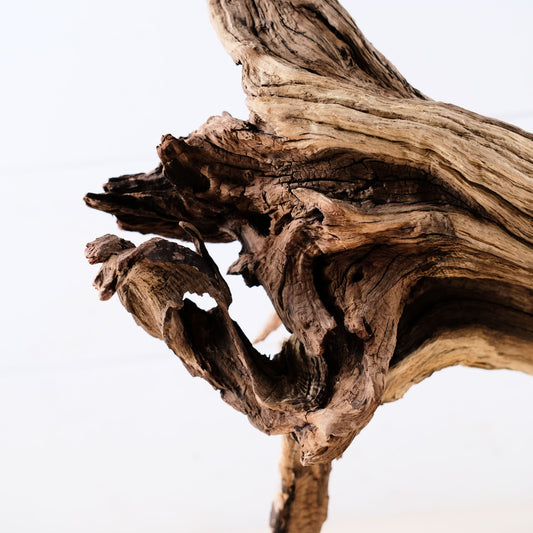 Manzanita 22" Driftwood Branch, Aquarium Aqquascape Trunk, Reptile Terrarium Wood, Large Fish Tank Root Wood