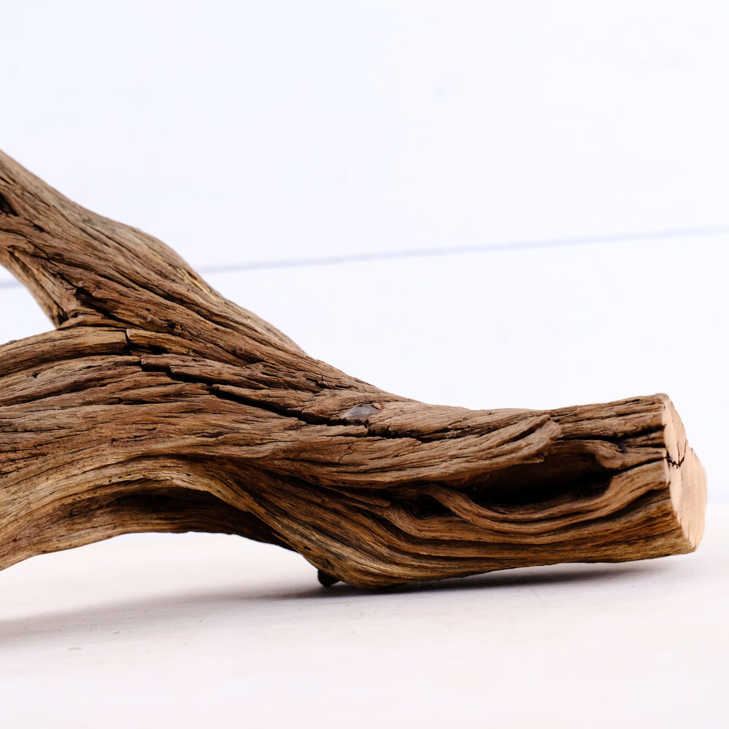 Manzanita 21" Driftwood Branch, Reptile Wood, Aquarium Centerpiece, Terrarium Wood Climb, Decor Branch