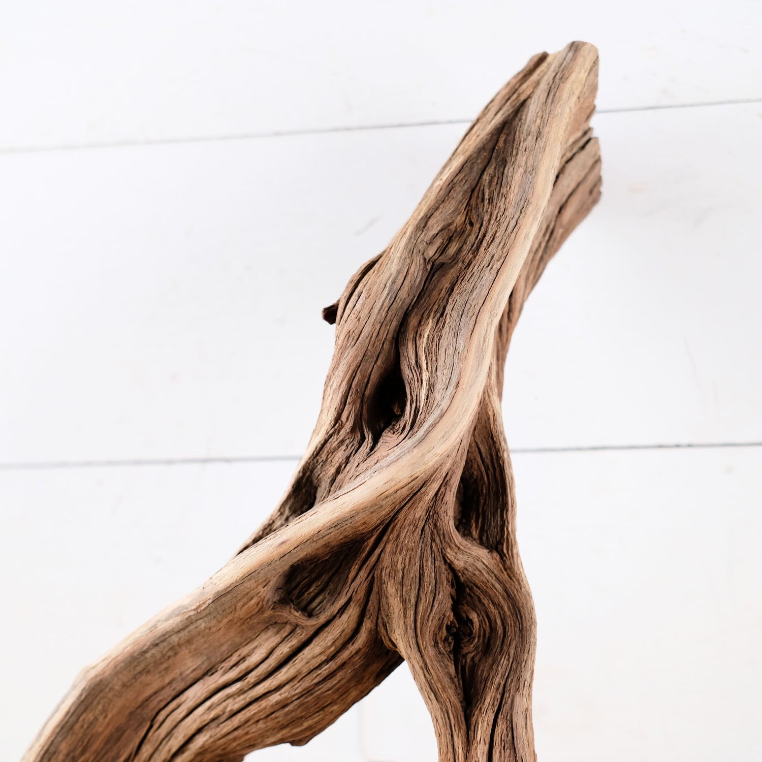 Manzanita 21" Driftwood Branch, Reptile Wood, Aquarium Centerpiece, Terrarium Wood Climb, Decor Branch