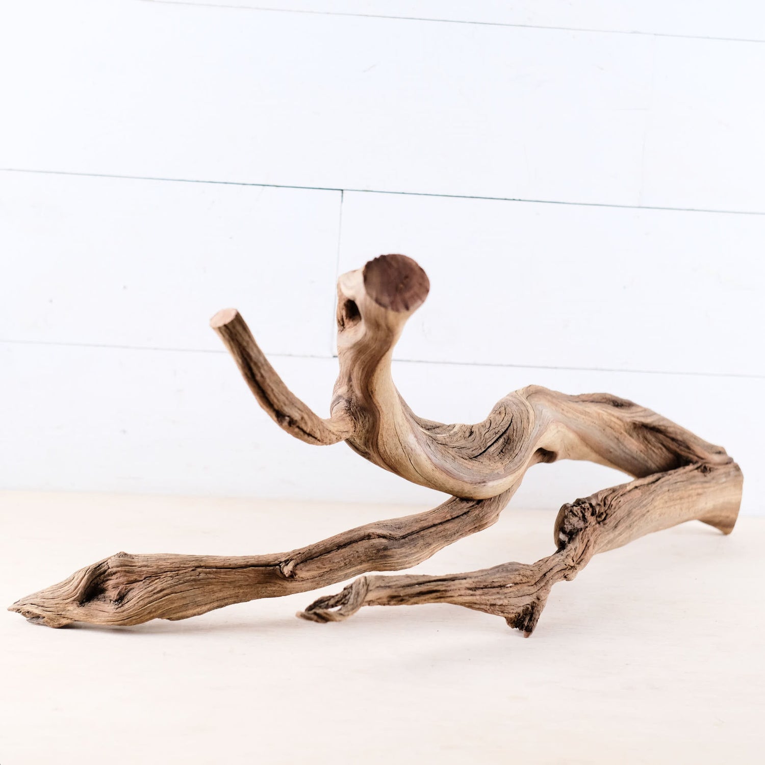 Manzanita 25" Branch, Large Aquascape Driftwood, Aquarium Wood Centerpiece, Natural Fish Tank Decor, Reptile Vivarium Branch