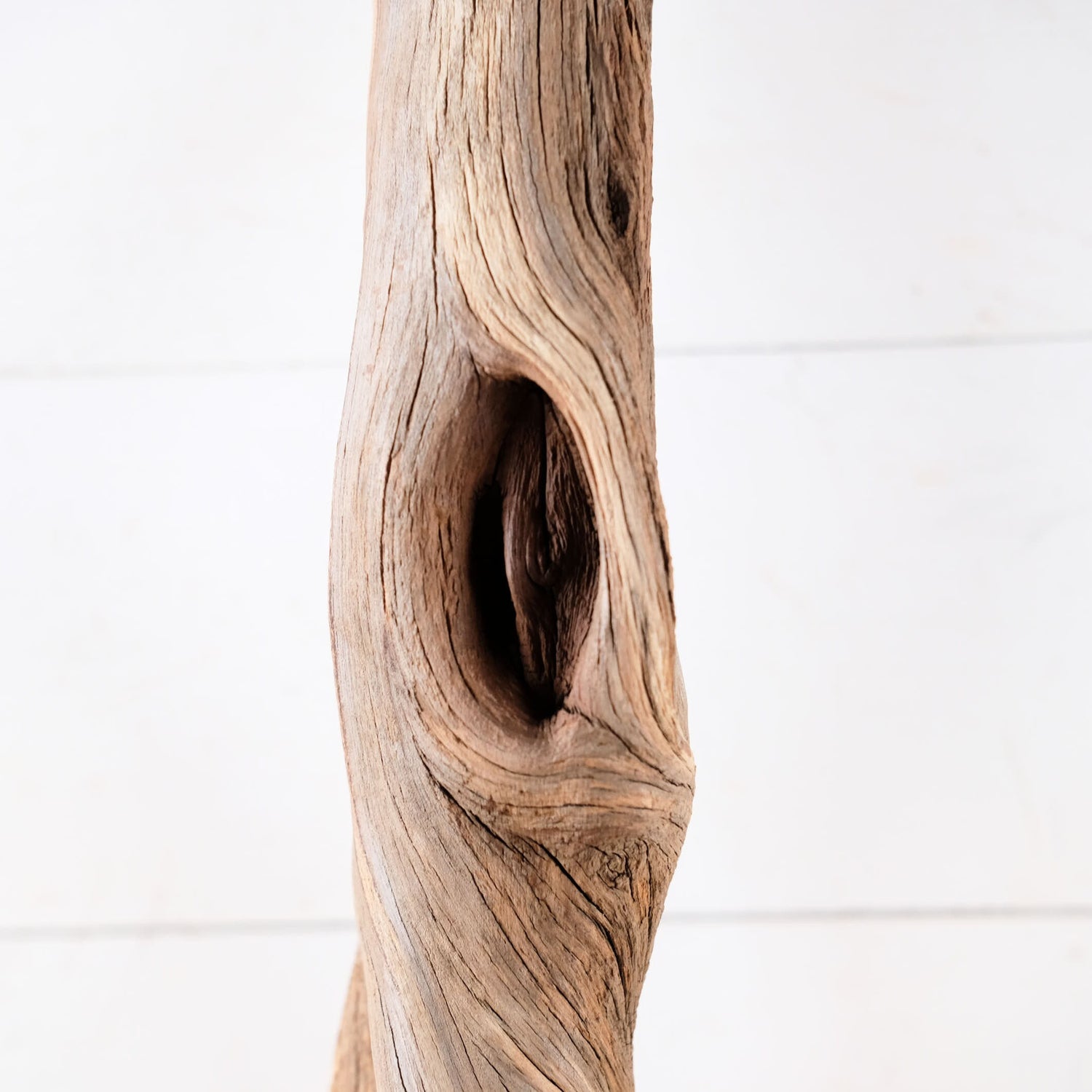 Manzanita 25" Branch, Large Aquascape Driftwood, Aquarium Wood Centerpiece, Natural Fish Tank Decor, Reptile Vivarium Branch