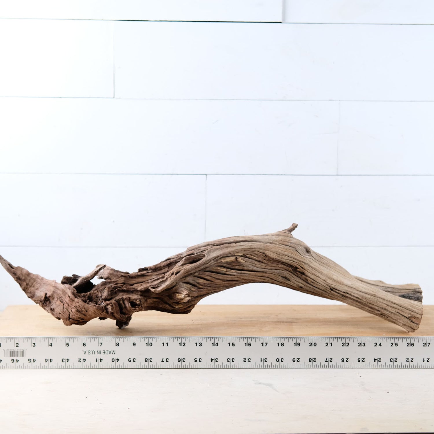 Manzanita 29" Driftwood Root, Rugged Aquarium Wood, Natural Fish Tank Decor, Shrimp Tank Enrichment, Reptile Perch
