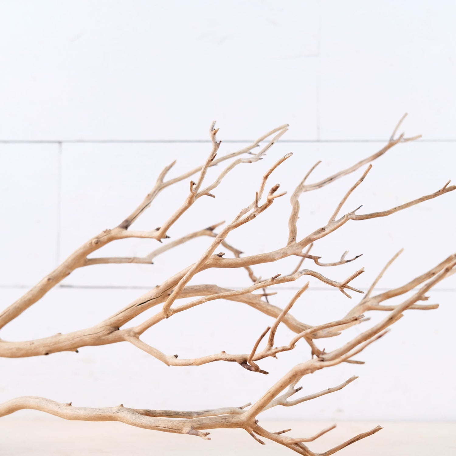 Manzanita 27" Branch, Aquascape Driftwood, Aquarium Wood Centerpiece, Natural Fish Tank Decor, Natural Decor Branch