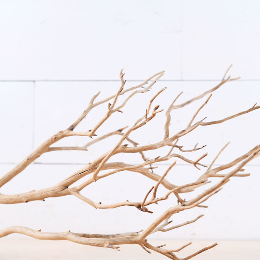 Manzanita 27" Branch, Aquascape Driftwood, Aquarium Wood Centerpiece, Natural Fish Tank Decor, Natural Decor Branch