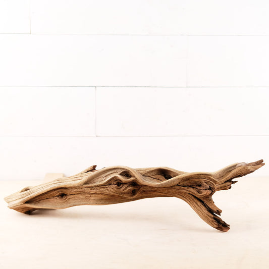 Manzanita 24" Driftwood, Rugged Aquarium Wood, Natural Fish Tank Decor, Shrimp Tank Enrichment