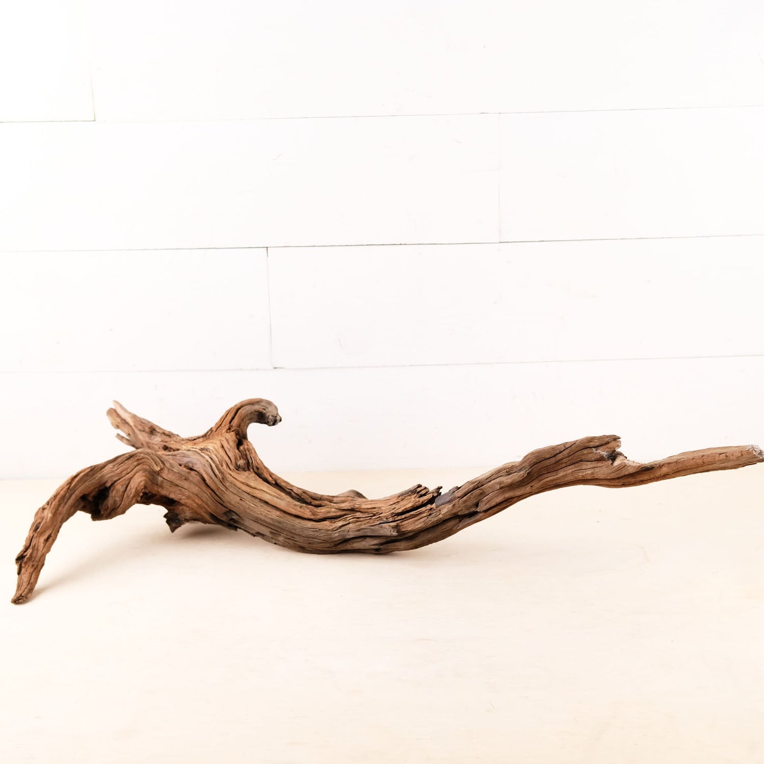 Manzanita 28" Driftwood Root, Rugged Aquarium Wood, Natural Fish Tank Decor, Shrimp Tank Enrichment, Reptile Perch