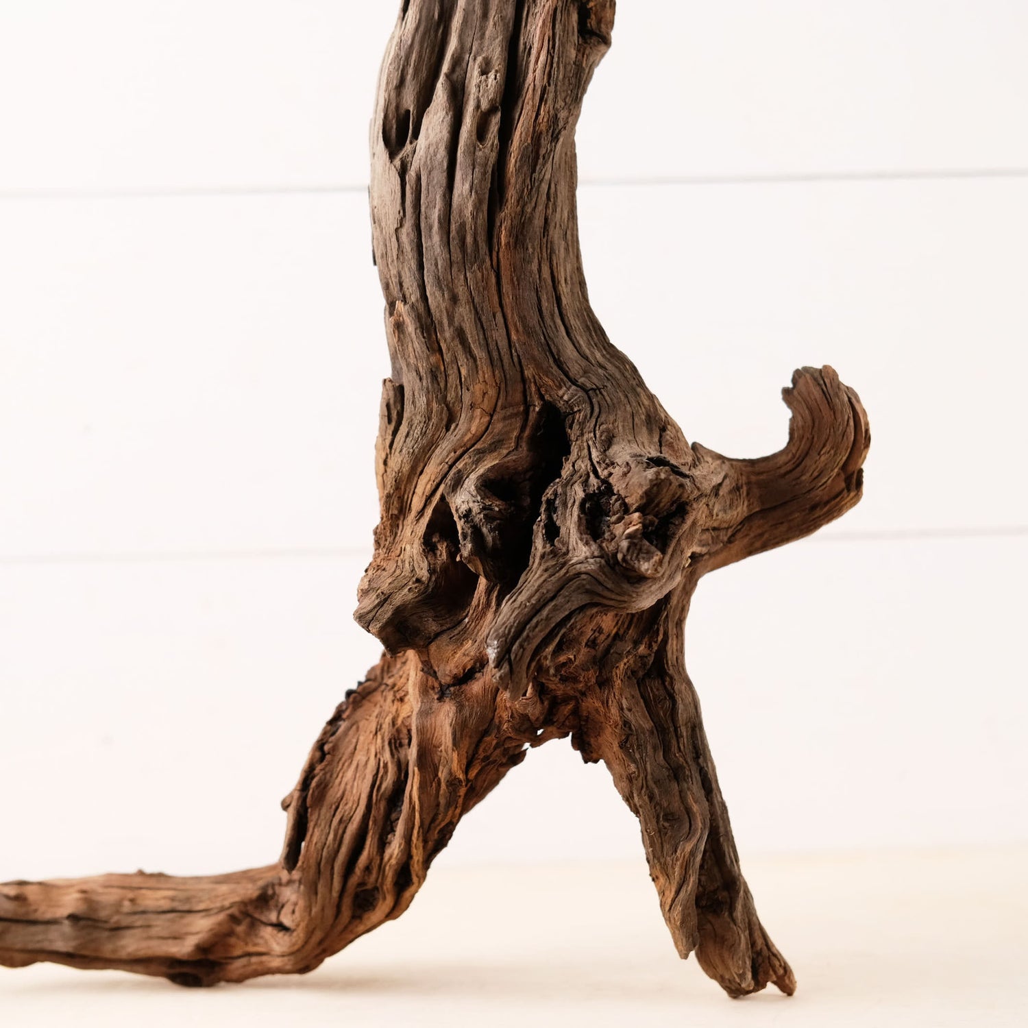 Manzanita 28" Driftwood Root, Rugged Aquarium Wood, Natural Fish Tank Decor, Shrimp Tank Enrichment, Reptile Perch