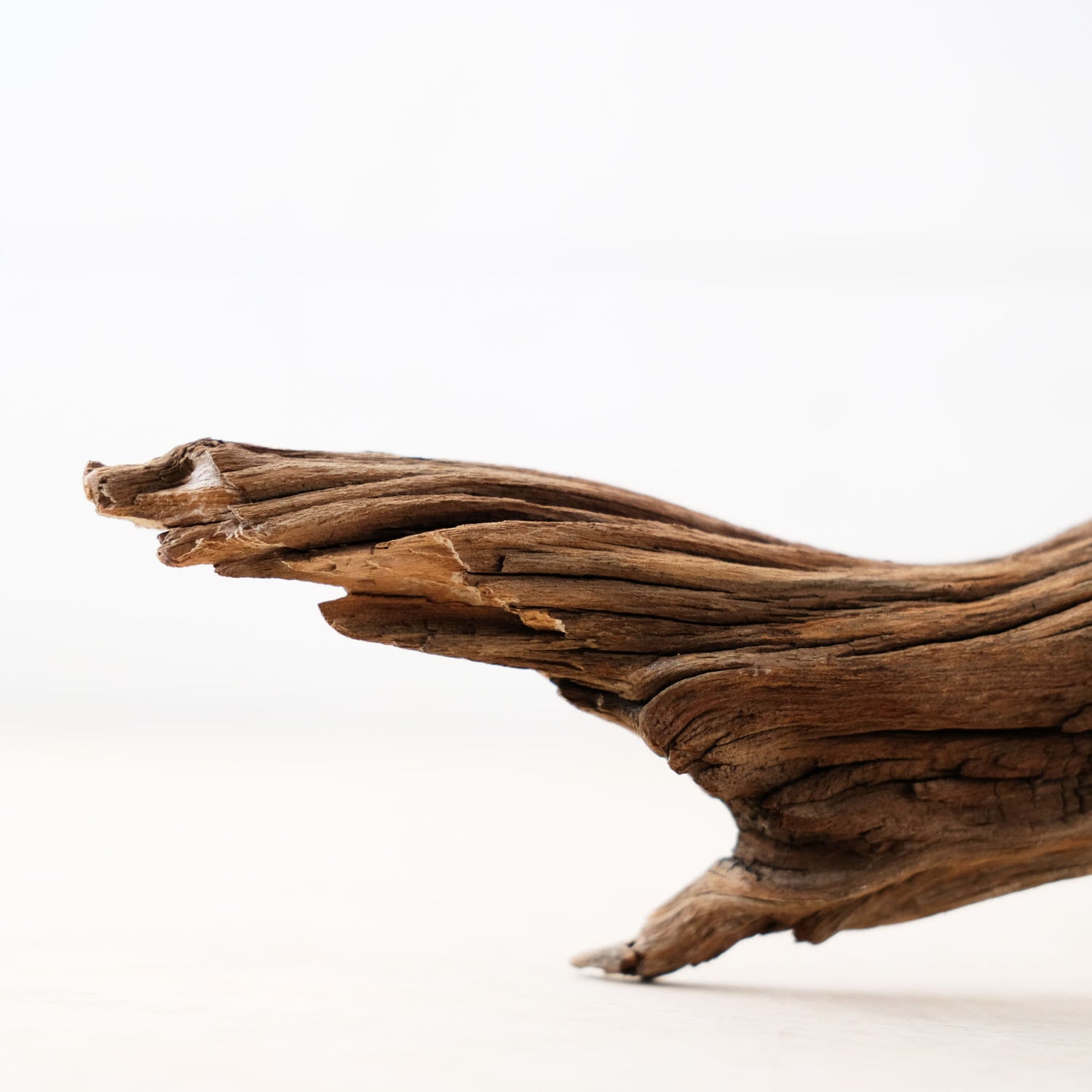 Manzanita 23" Driftwood Branch, Reptile Wood, Aquarium Centerpiece, Terrarium Wood Climb, Decor Branch