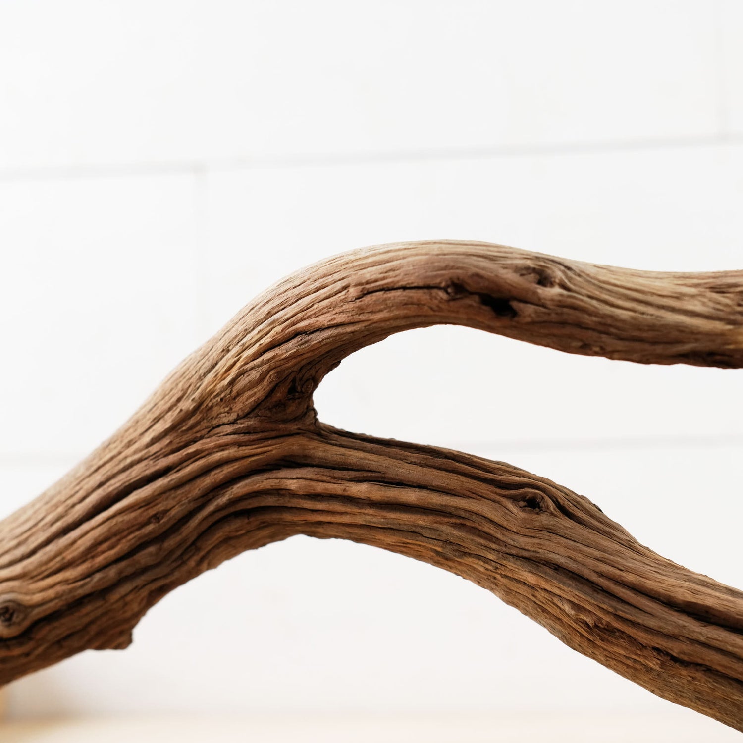 Manzanita 23" Driftwood Branch, Reptile Wood, Aquarium Centerpiece, Terrarium Wood Climb, Decor Branch