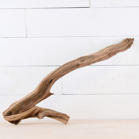 Manzanita 27" Driftwood Branch, Reptile Terrarium Perch, Vivarium Wood, Long Boa Climb