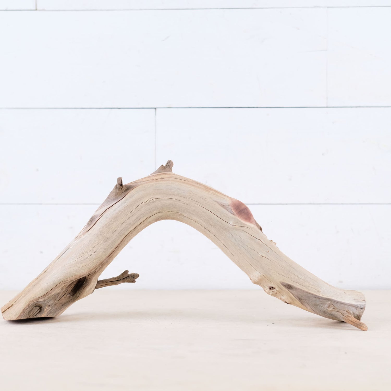 Manzanita 16" Branch, Aquascape Arch Driftwood, Aquarium Centerpiece, Natural Fish Tank Decor, Reptile Terrarium Wood
