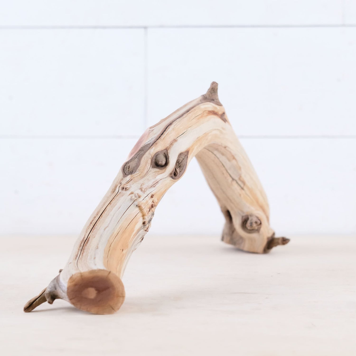 Manzanita 16" Branch, Aquascape Arch Driftwood, Aquarium Centerpiece, Natural Fish Tank Decor, Reptile Terrarium Wood