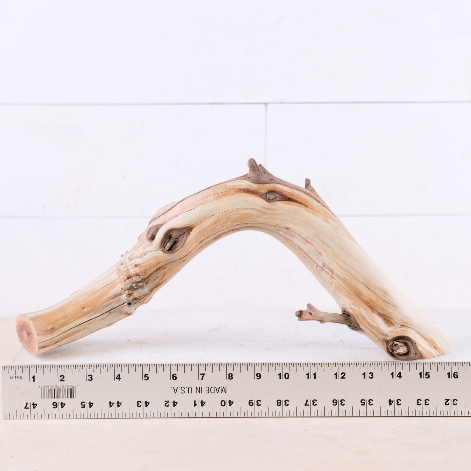 Manzanita 16" Branch, Aquascape Arch Driftwood, Aquarium Centerpiece, Natural Fish Tank Decor, Reptile Terrarium Wood