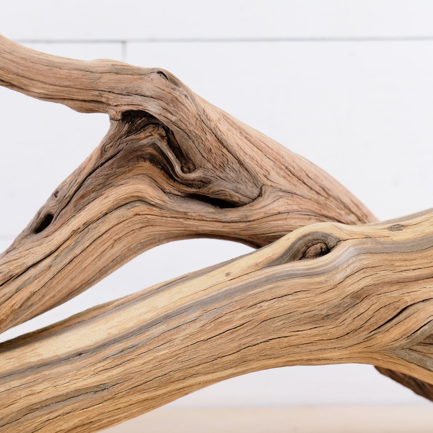 Manzanita 21-22" Branches (Set of 2), Reptile Vivarium Driftwood, Natural Terrarium Wood, Aquarium Decor