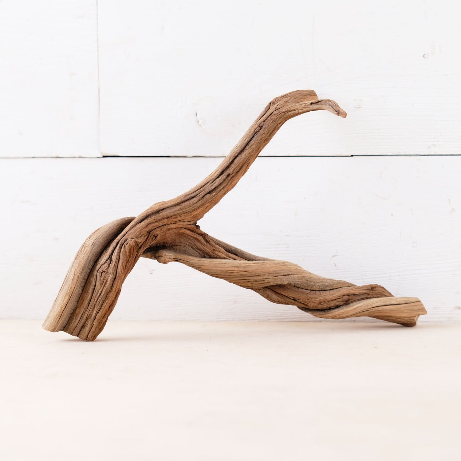 Manzanita 10" Branch, Small Aquascape Driftwood, Nano Aquarium Wood, Nanoscape Tank Decor, Real Fish Tank Wood