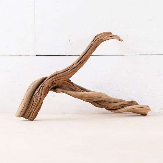 Manzanita 10" Branch, Small Aquascape Driftwood, Nano Aquarium Wood, Nanoscape Tank Decor, Real Fish Tank Wood