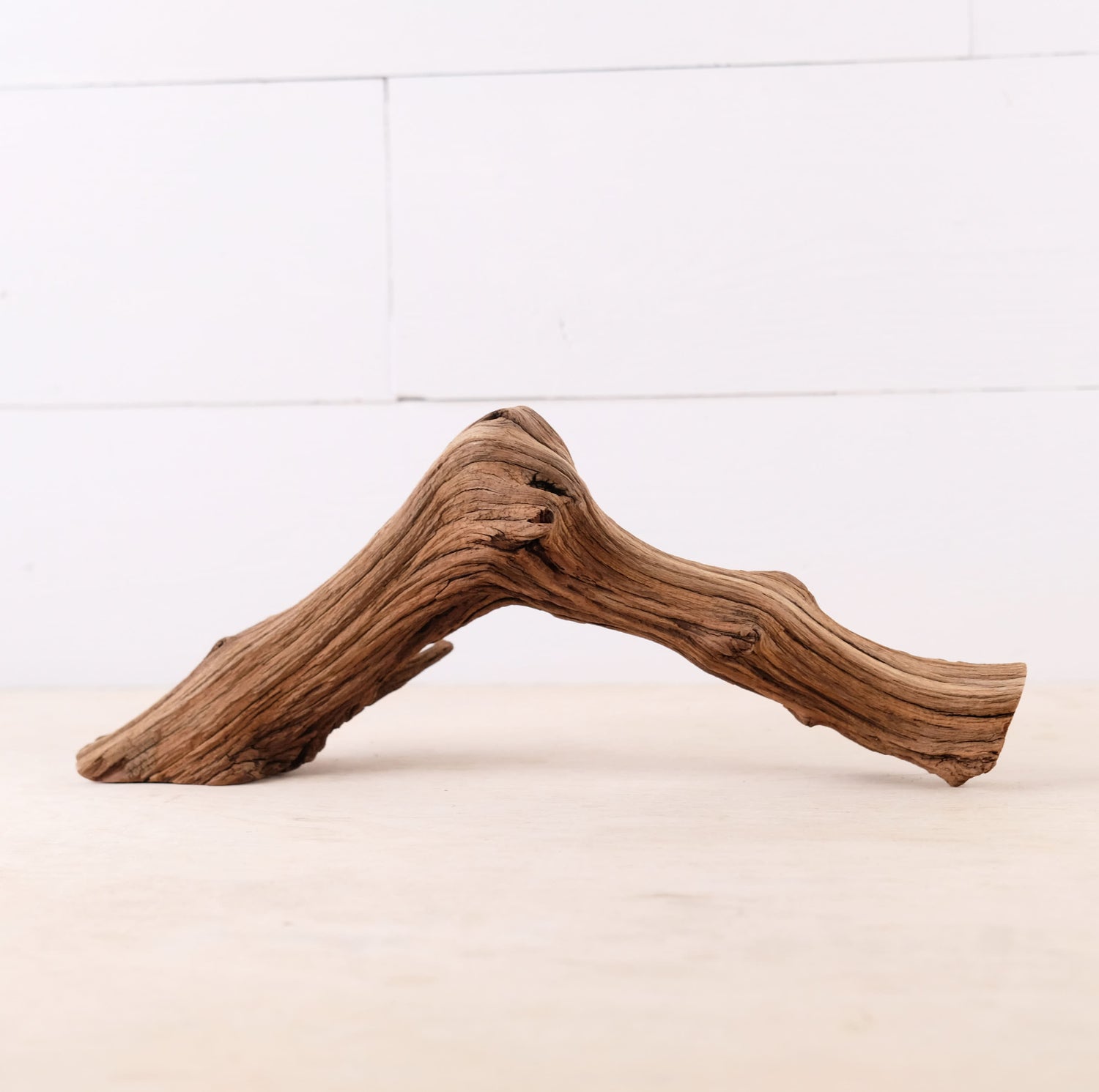 13" Manzanita Branch, Small Aquarium Driftwood Arch, Aquascape Wood, Nano Fish Tank Decor, Nanoscape Driftwood