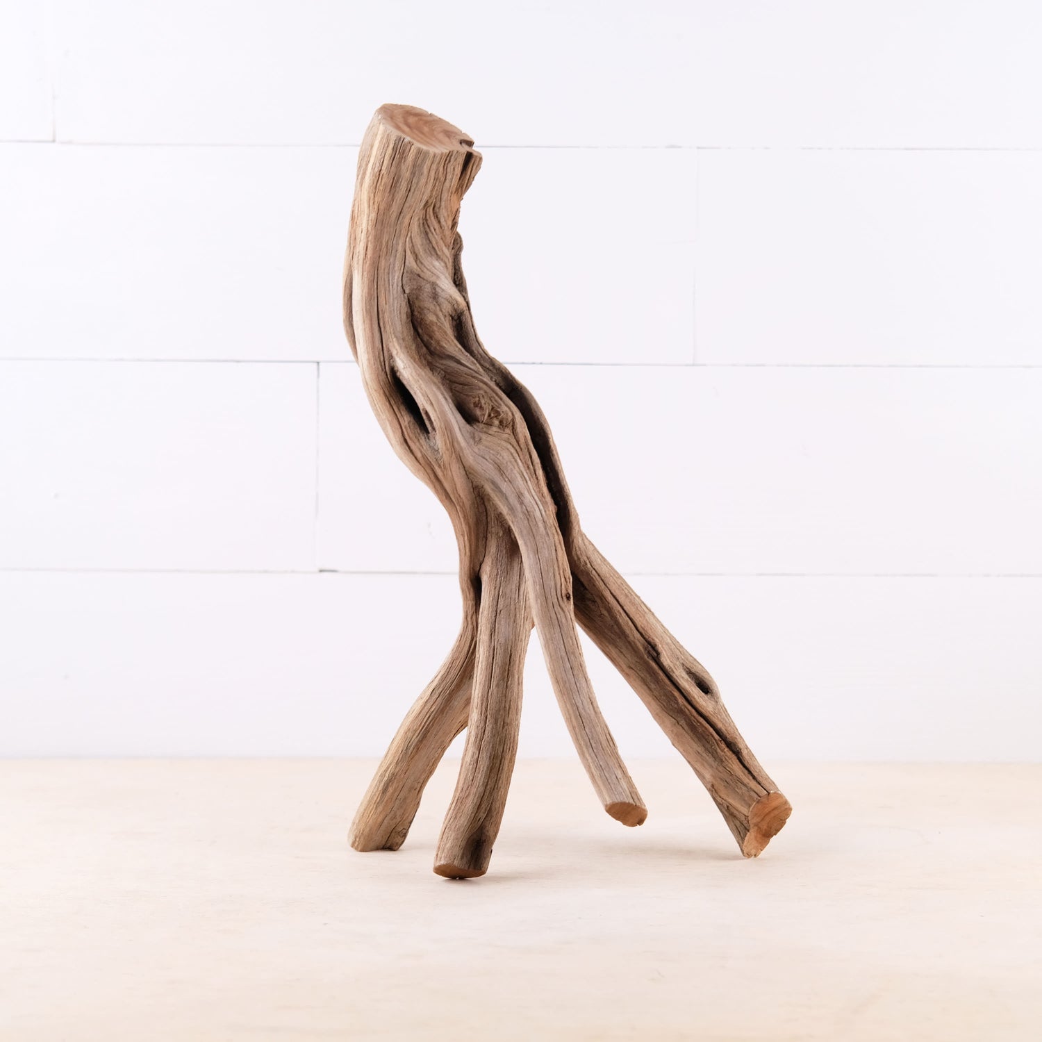 Manzanita 17" Driftwood, Aquarium Aquascape Branch, Natural Fish Tank Decor, Reptile Tank Wood, Terrarium Climb