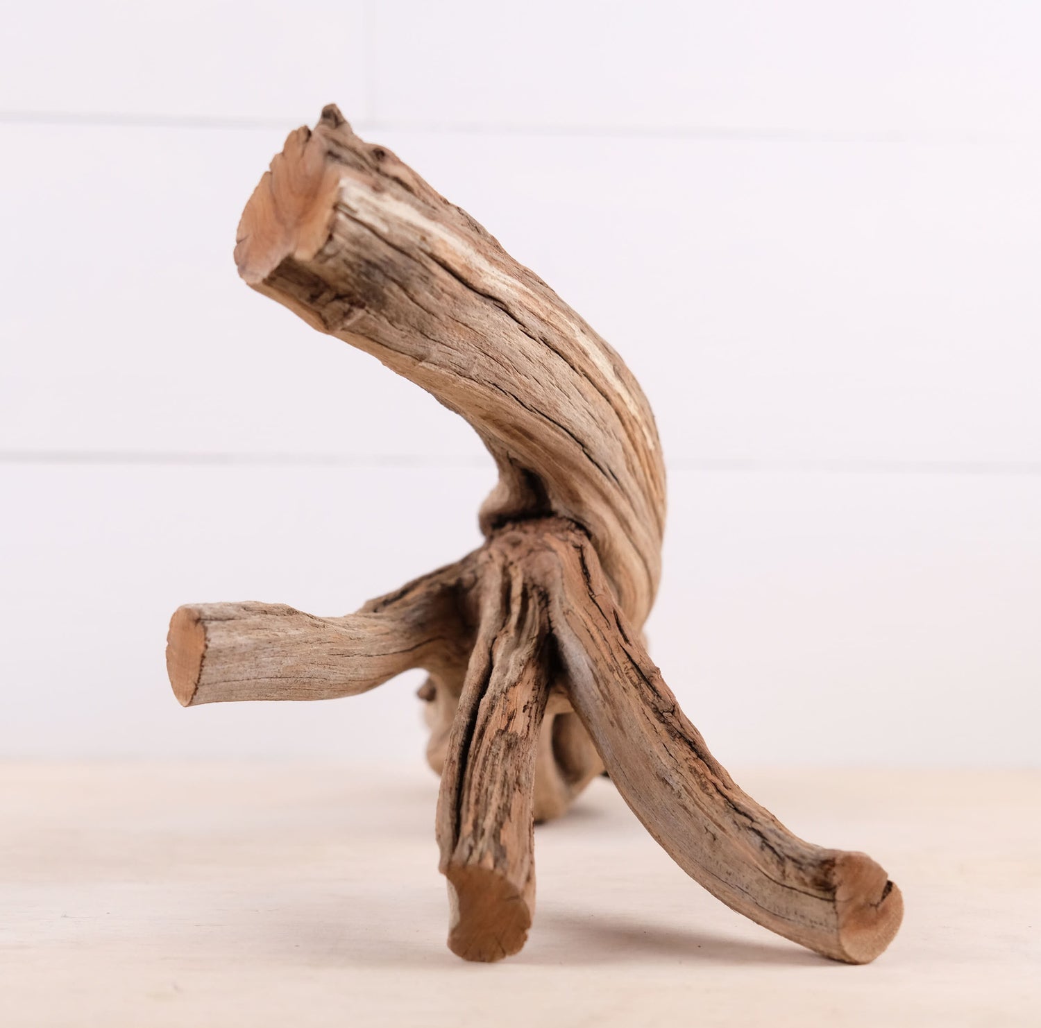Manzanita 17" Driftwood, Aquarium Aquascape Branch, Natural Fish Tank Decor, Reptile Tank Wood, Terrarium Climb